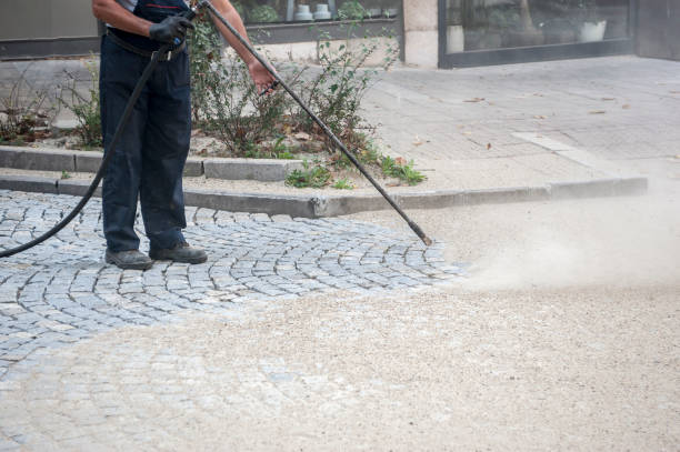 Best Animal Enclosure Cleaning  in Buckhorn, CA
