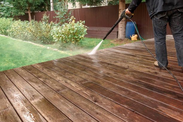Animal Enclosure Cleaning in Buckhorn, CA