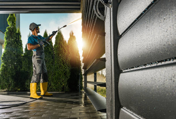 Best Roof Washing  in Buckhorn, CA
